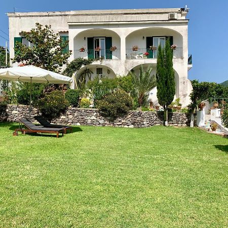 Villa Vincenzo Di Meglio Barano dʼIschia Eksteriør billede