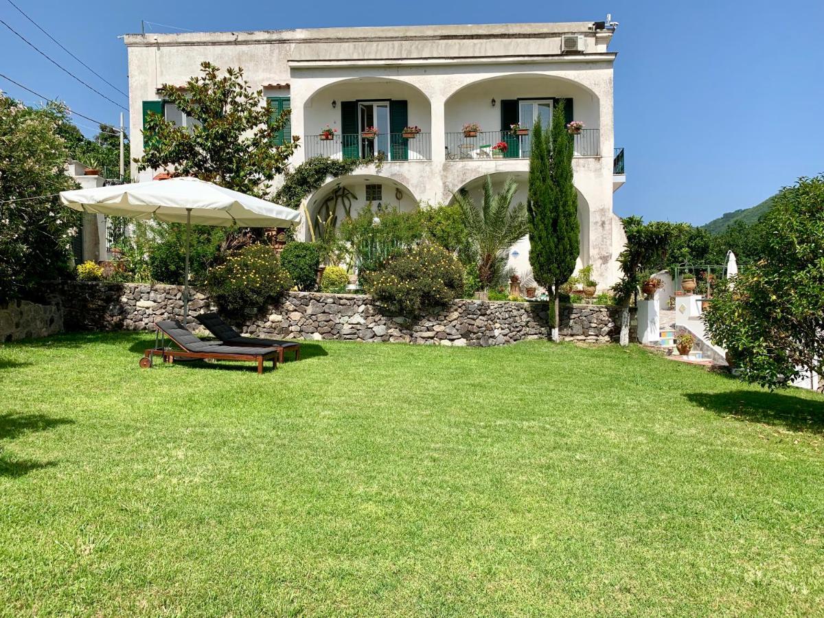 Villa Vincenzo Di Meglio Barano dʼIschia Eksteriør billede