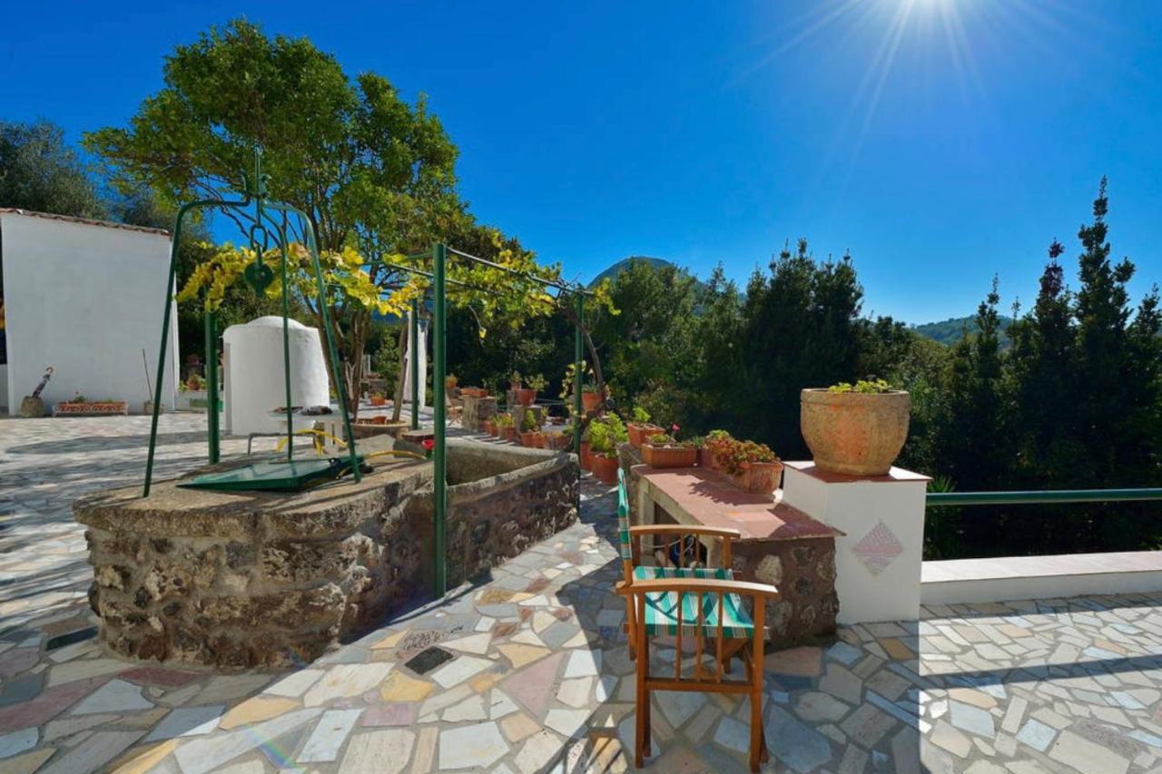 Villa Vincenzo Di Meglio Barano dʼIschia Eksteriør billede