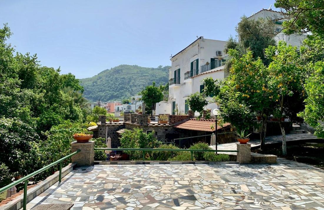 Villa Vincenzo Di Meglio Barano dʼIschia Eksteriør billede