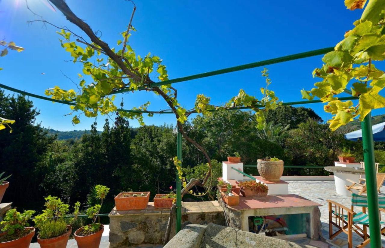 Villa Vincenzo Di Meglio Barano dʼIschia Eksteriør billede