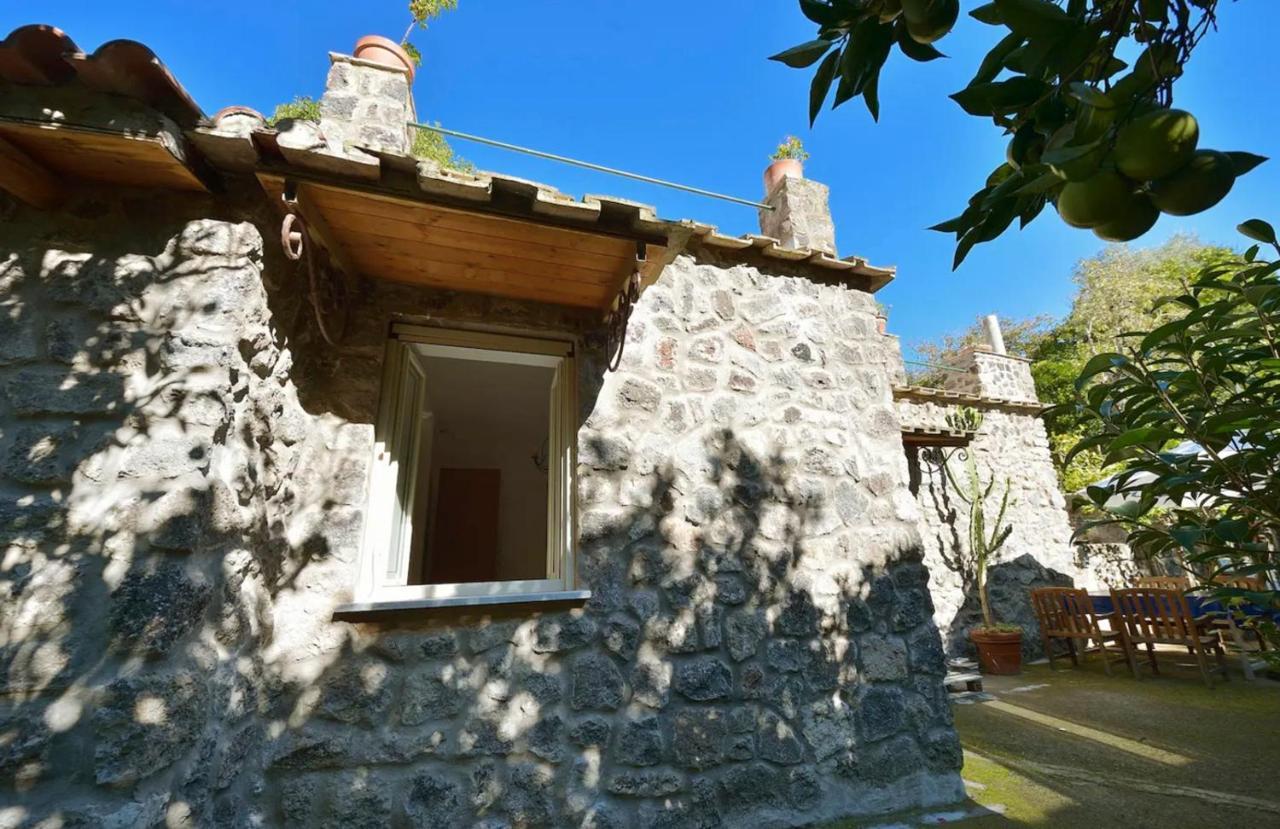 Villa Vincenzo Di Meglio Barano dʼIschia Eksteriør billede