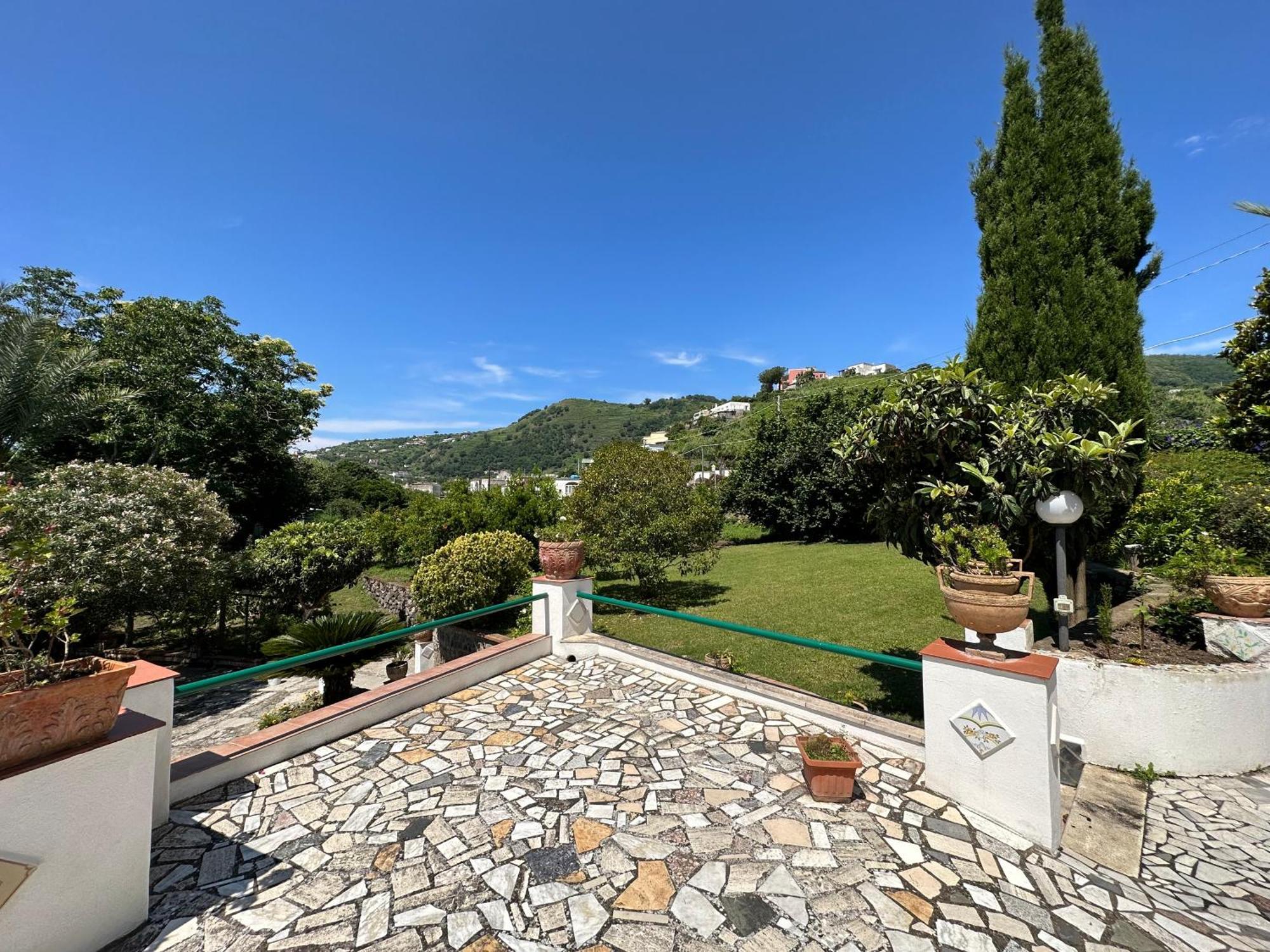 Villa Vincenzo Di Meglio Barano dʼIschia Eksteriør billede