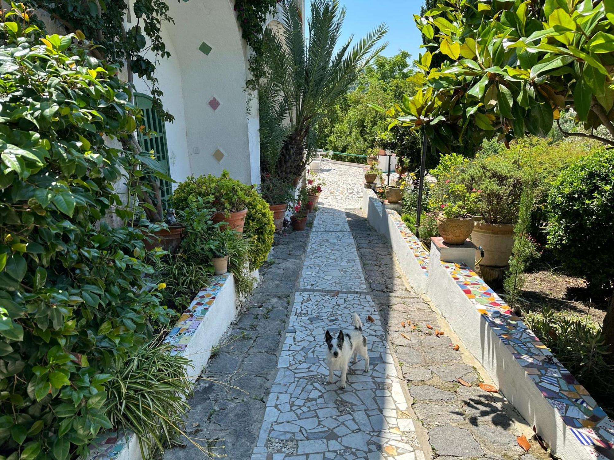 Villa Vincenzo Di Meglio Barano dʼIschia Eksteriør billede