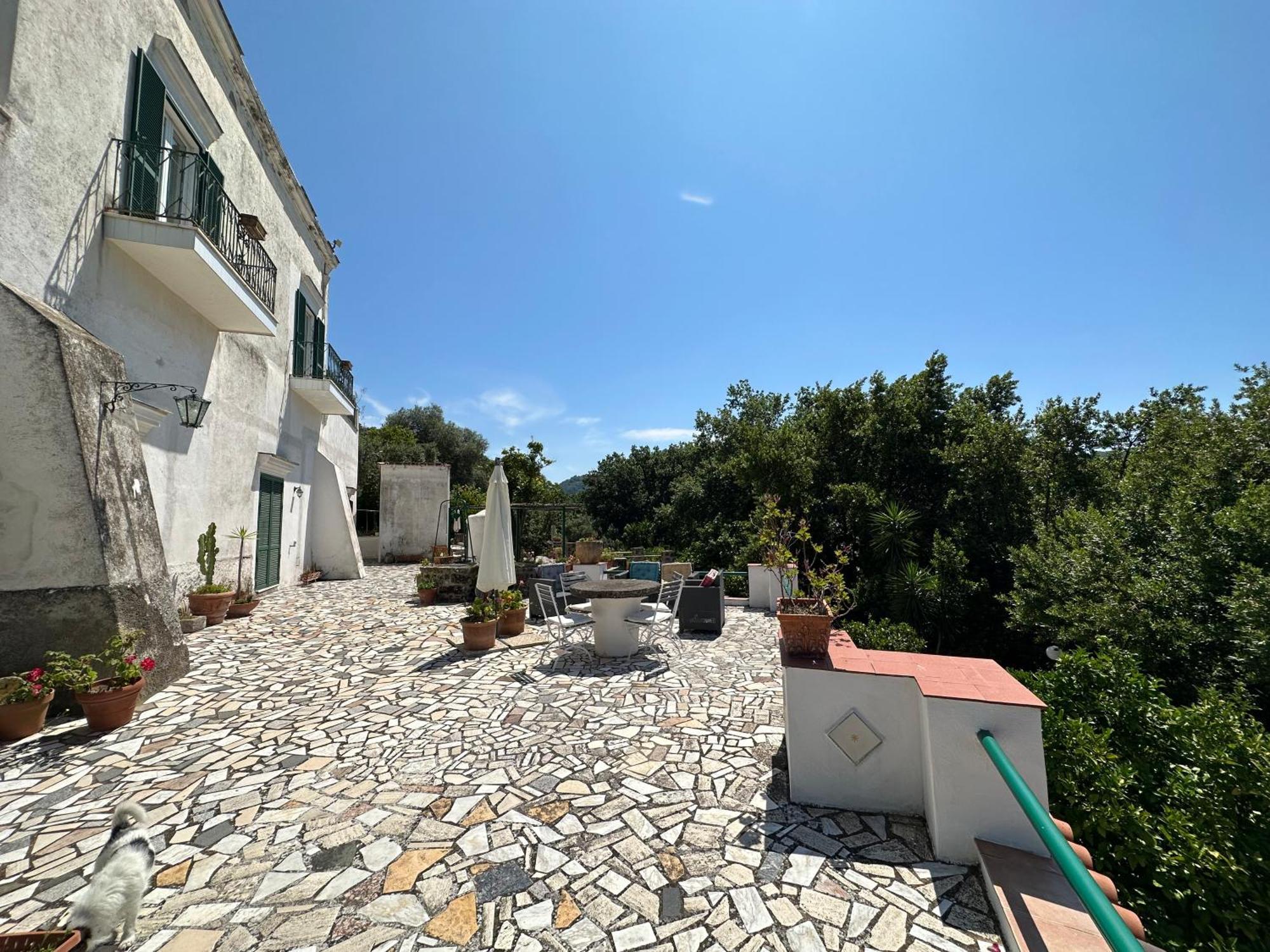 Villa Vincenzo Di Meglio Barano dʼIschia Eksteriør billede