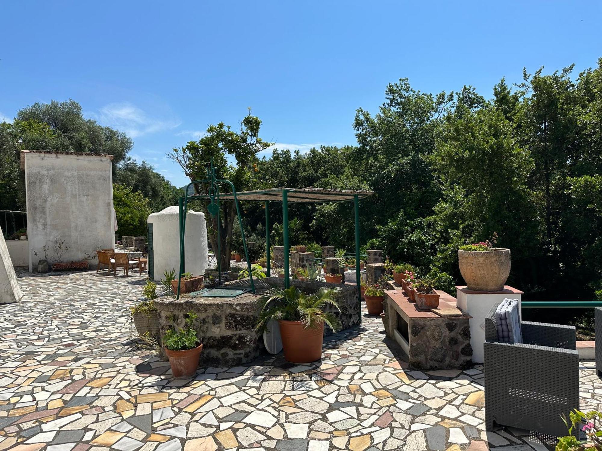 Villa Vincenzo Di Meglio Barano dʼIschia Eksteriør billede
