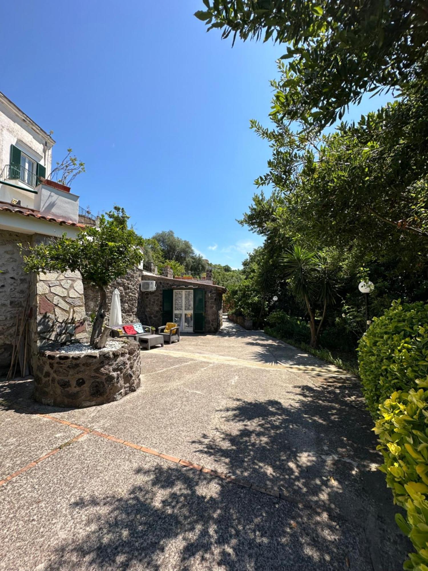 Villa Vincenzo Di Meglio Barano dʼIschia Eksteriør billede