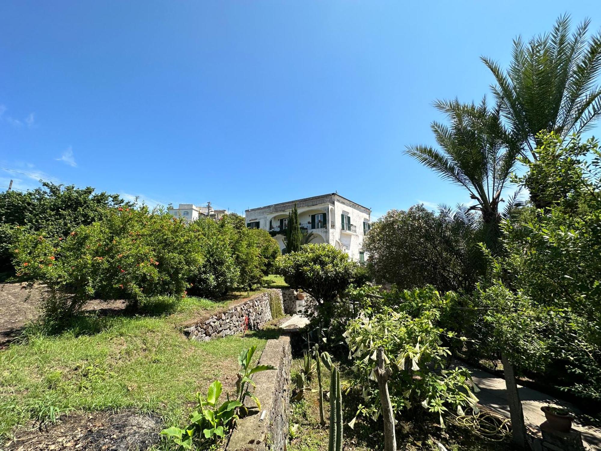 Villa Vincenzo Di Meglio Barano dʼIschia Eksteriør billede