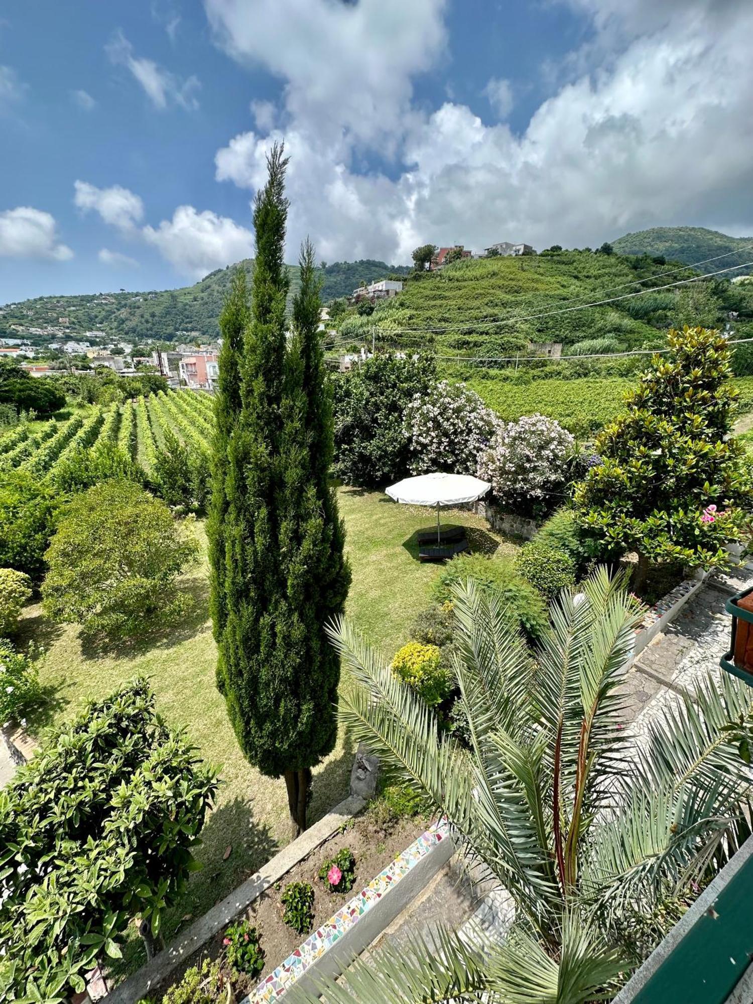 Villa Vincenzo Di Meglio Barano dʼIschia Eksteriør billede