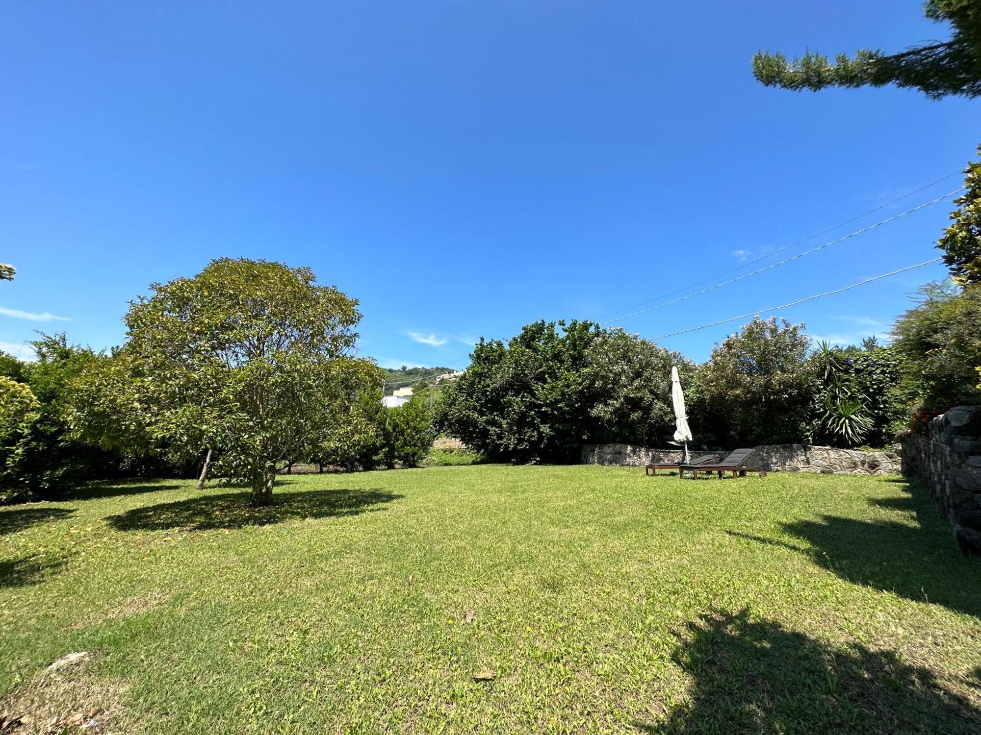 Villa Vincenzo Di Meglio Barano dʼIschia Eksteriør billede