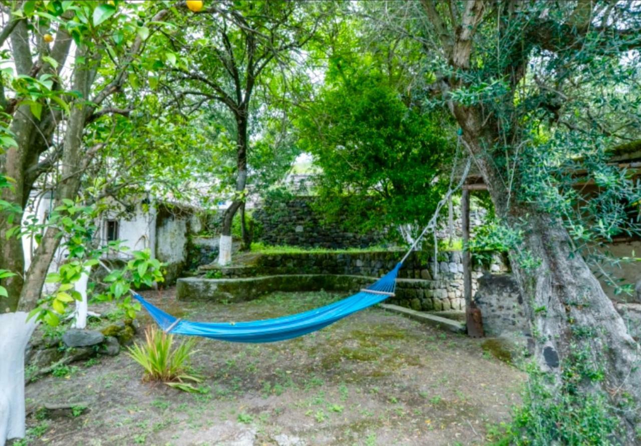 Villa Vincenzo Di Meglio Barano dʼIschia Eksteriør billede