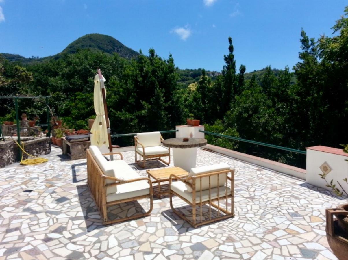 Villa Vincenzo Di Meglio Barano dʼIschia Eksteriør billede