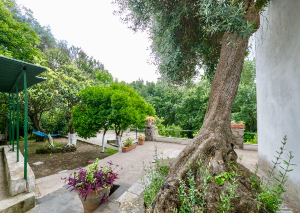 Villa Vincenzo Di Meglio Barano dʼIschia Eksteriør billede