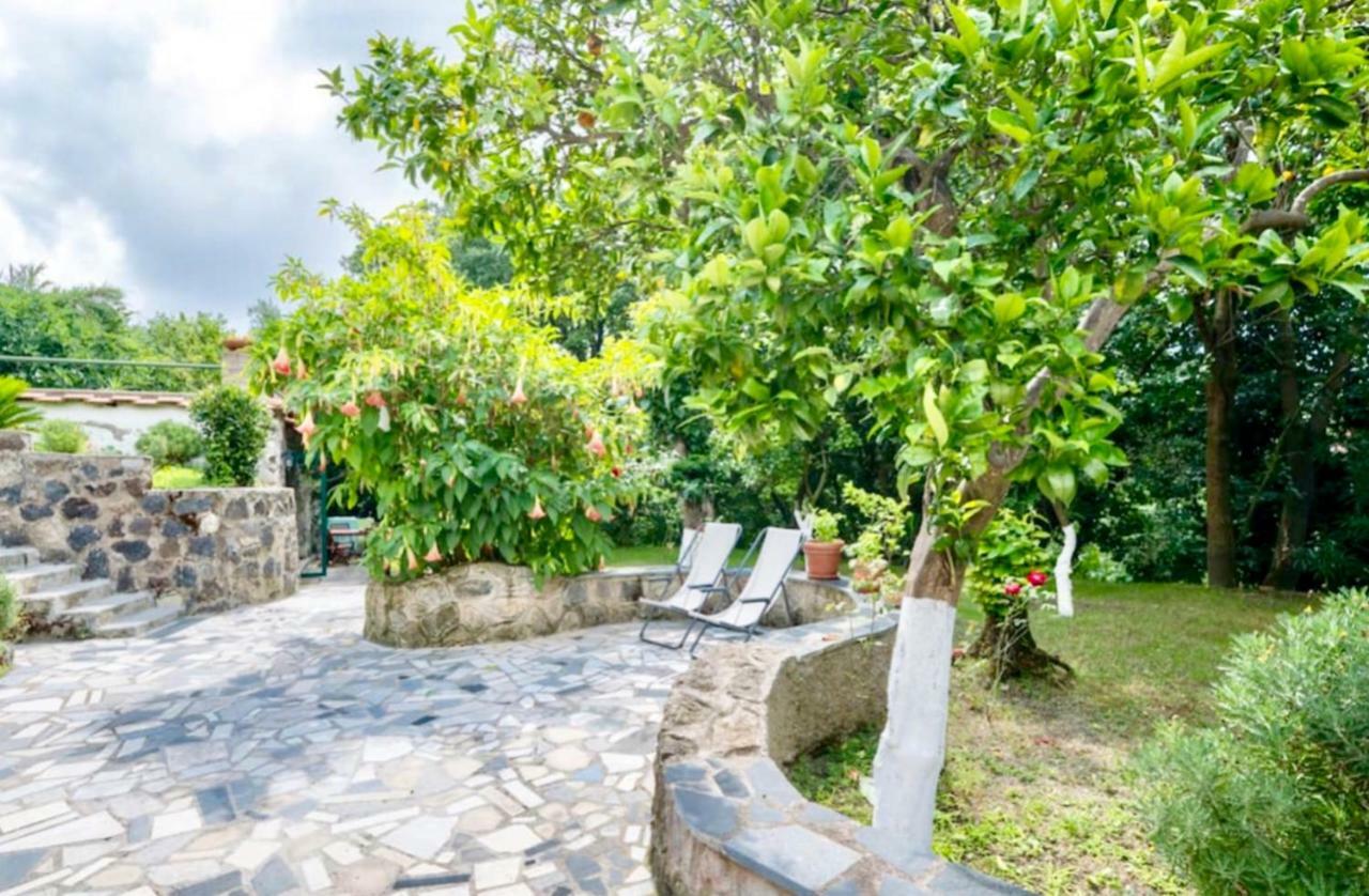 Villa Vincenzo Di Meglio Barano dʼIschia Eksteriør billede