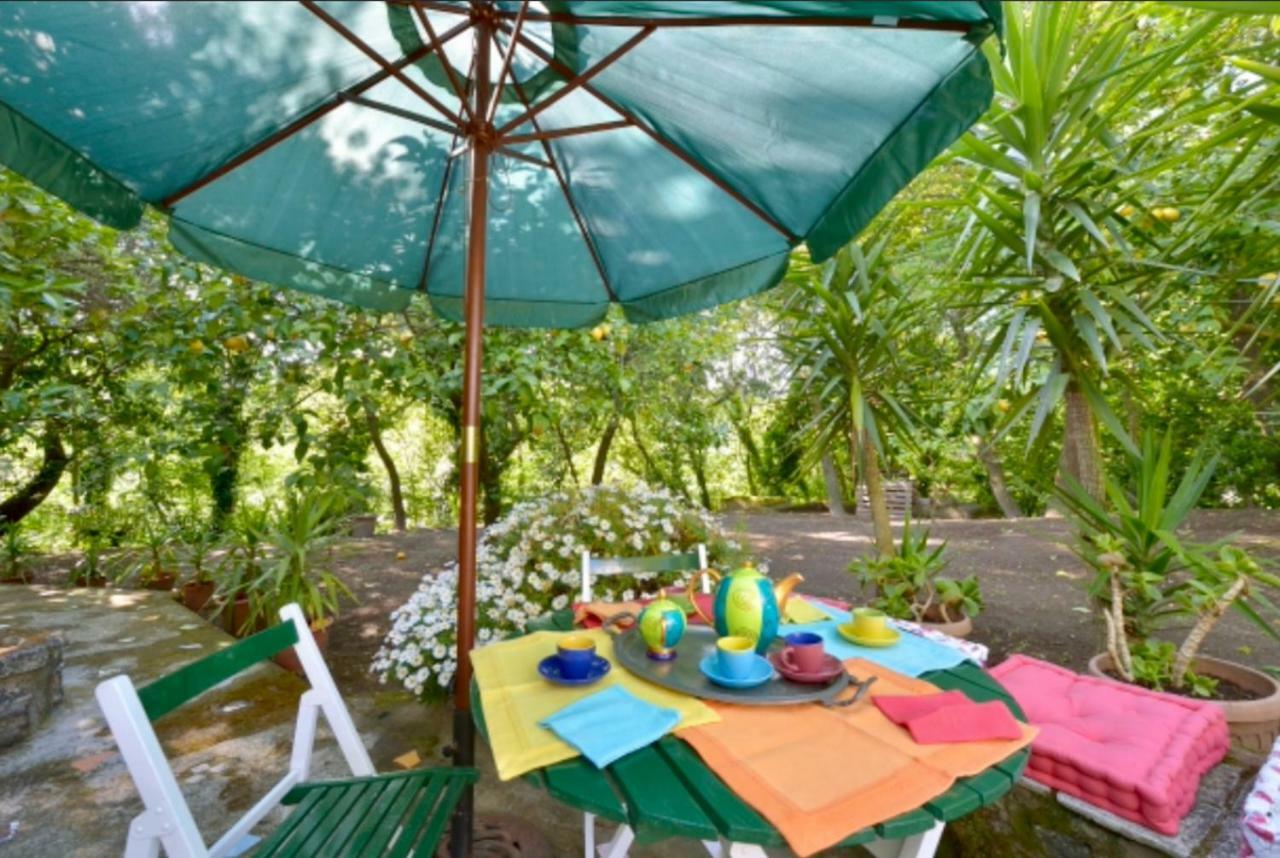 Villa Vincenzo Di Meglio Barano dʼIschia Eksteriør billede
