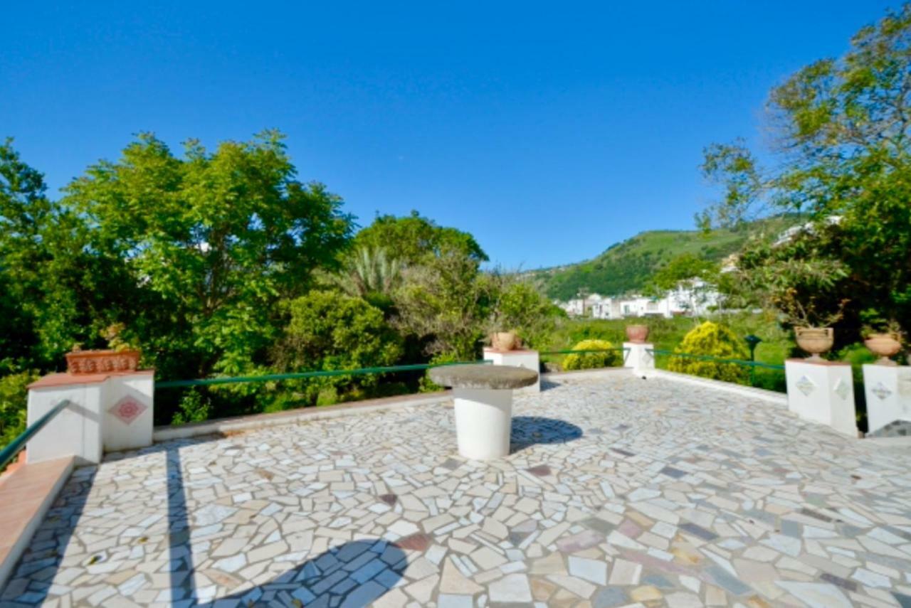 Villa Vincenzo Di Meglio Barano dʼIschia Eksteriør billede