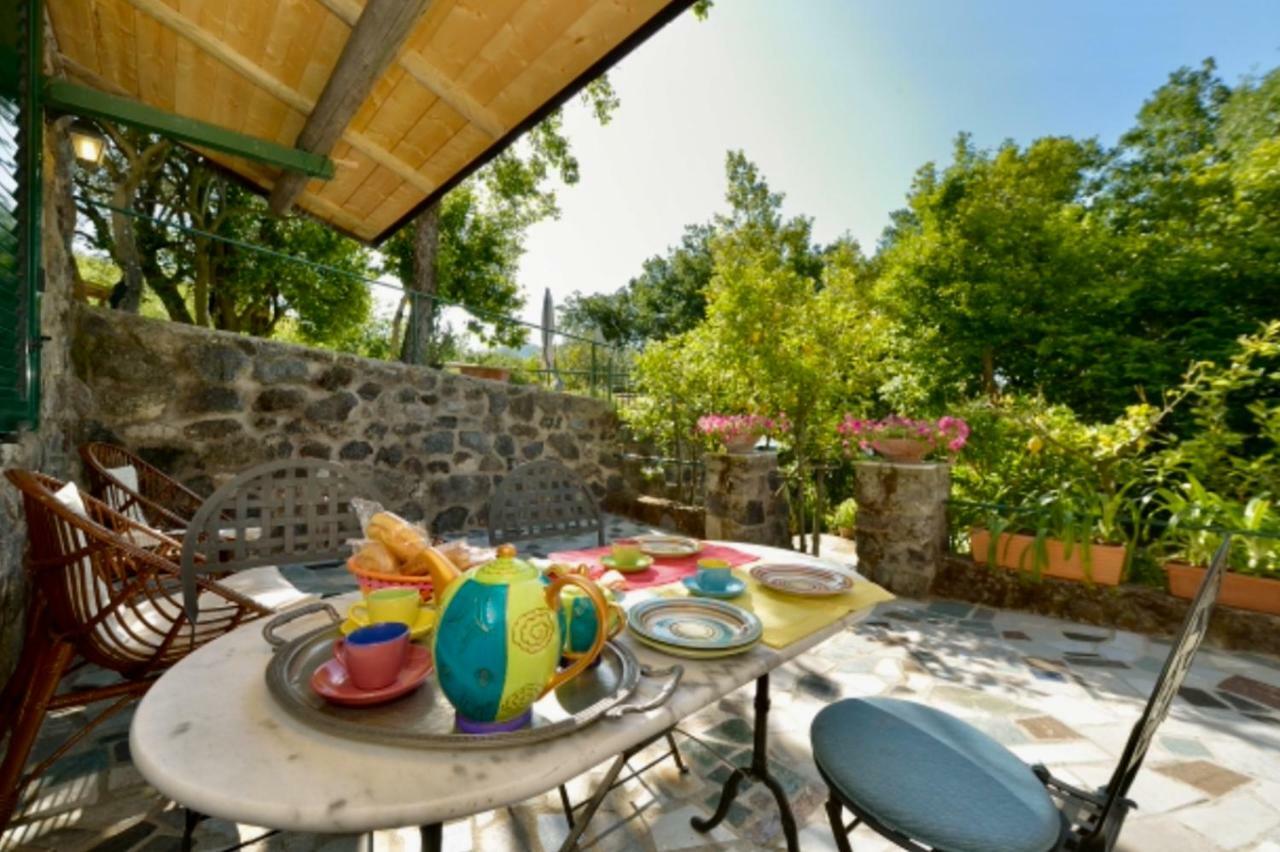 Villa Vincenzo Di Meglio Barano dʼIschia Eksteriør billede